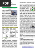 Evaluacion Diagnostica de Ciencia y Tecnologia Vii Ciclo