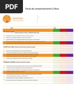 Pauta de Observacion Comportamientos Criticos