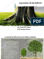 Especialidad Arboles Club de Conquistadores