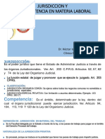 La Competencia en Materia Laboral.