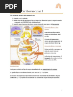 Sistema Cardiovascular I