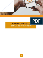 Primavera p6 Informe