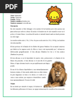 Monografia Del Leon