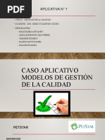 Pea1-Gestion de Calidad