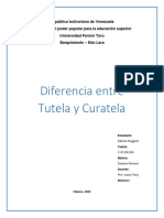 Informe - Tutela y Curatela