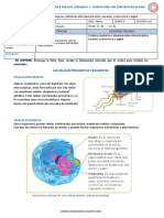 Célula Procariota y Eucariota