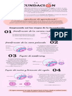 Fecundacion Infografia