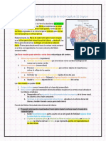 El Ojo III Neurofisiología Central de La Visión Capítulo 52 Guyton