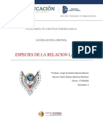 Especies de La Relacion Laboral