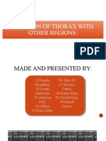 Relations of Thorax