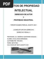 Delitos de Propiedad Intelectual