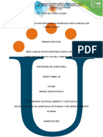 Consolidado, Fichas Tecnicas Cultivos Clima Calido