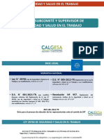 Comité, Subcomité y Supervisor de Seguridad y Salud en El Trabajo