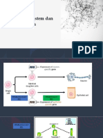 1.2 Tisu Meristem Dan Pertumbuhan