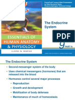 Endocrine System