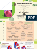 Seminario Practica 6 EKG Equipo 1