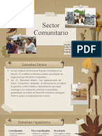 Sector Comunitario