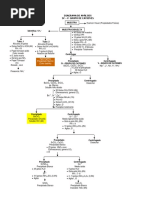 Diagrama Iv Grupo de Cationes-1