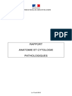 Rapport Anatomie Cytologie Pathologiques