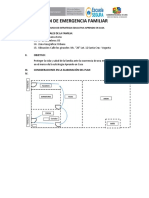 PLAN FAMILIAR DE EMERGENCIA Roque Huanca