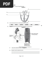 Aj L3 CHD Qs & Ms Q1.: Diagram 1 Shows A Section Through The Heart. Diagram 1