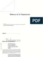 Balances de La Organización