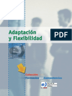 54585-Adaptacion y Flexibilidad