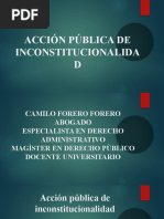 Acción Pública de Inconstitucionalidad 31.03.22