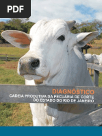 Diagnóstico Da Cadeia Produtiva Da Pecuária de Corte