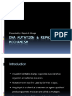 Dna Mutation & Repair Mechanism