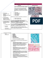 DG de Histología - Documentos de Google