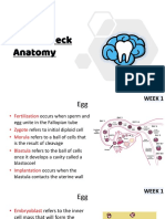 Head & Neck Anatomy