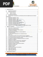 Impacto Ambiental - Cementerio (Paucarpata) Casi Fin 2