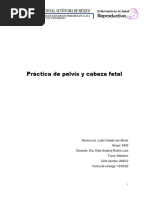 Práctica de Pelvis y Cabeza Fetal