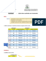 Raiz Cuadrada Irracional DESARROLLO