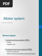 Motor System: By: Elnagi Yousif Hago