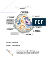 Trabajo de Biología