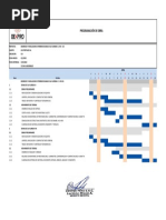 Cronográma de Ejecución