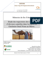 Noel 2019 Etude Des Trajectoires Des Societes D'eleveurs Camelins Dans La Region de Guelmim-Oued Noun Au Maroc