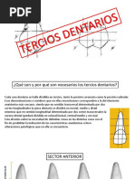 Tercios Dentarios Guía