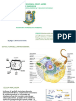 Estructura Celular Microbiana