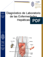 Clase Pruebas de Funcion Hepatica