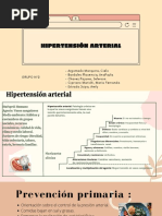 Salud Pública - Historia Natural de HP