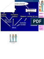 Mapa Conceptual Hipertension Arterial