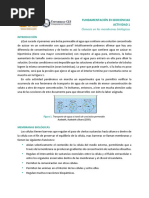 Actividad 1. Ósmosis en Las Membranas Biológicas