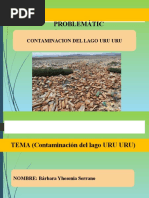 Contaminacion Del Lago Uru Uru