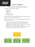 Long Term Assets Tangible Assets Intangible Assets Natural Resources