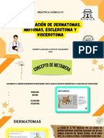 Exploración de Dermatomas y Miotomas, Esclerotoma y Viscerotoma