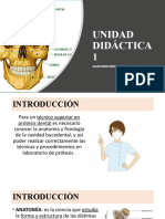 Ud 1 Anatomía Maxilofacial