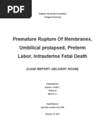 Case DR Priolapse - Preterm, Iufd, Promn